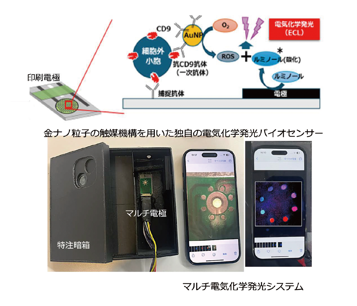 研究画像16