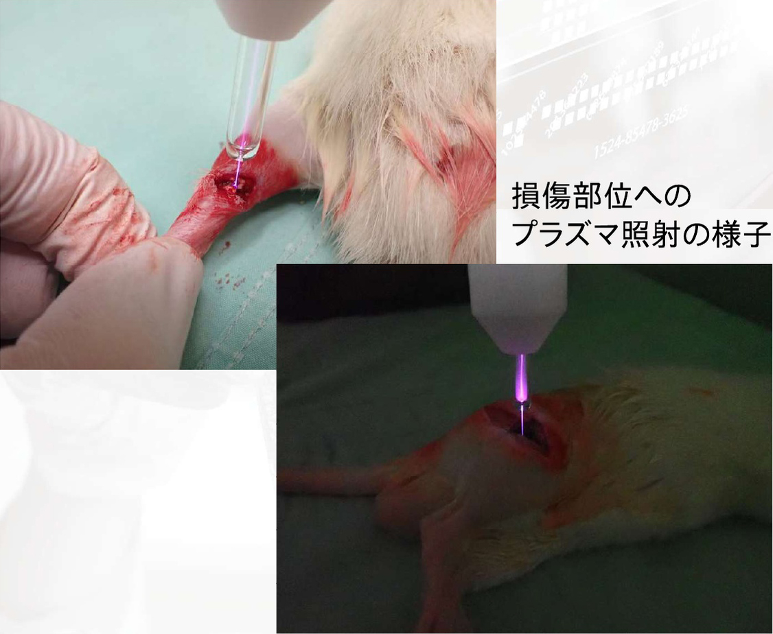 研究画像18