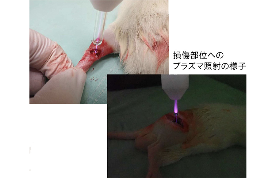 研究画像18