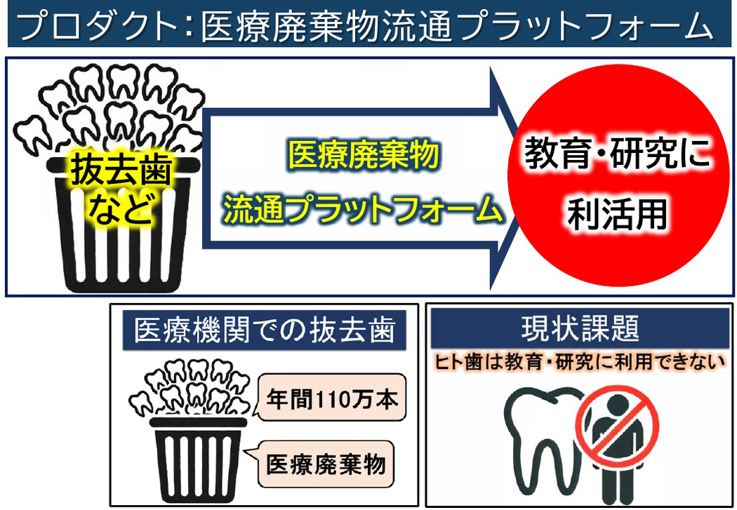 研究画像30