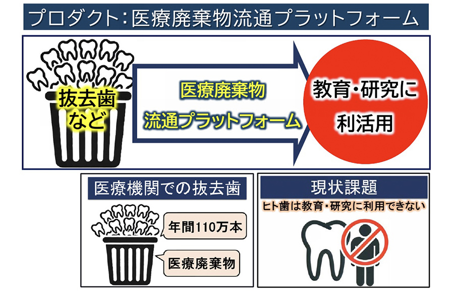 研究画像30